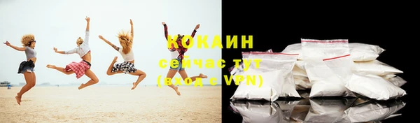 мет Елизово